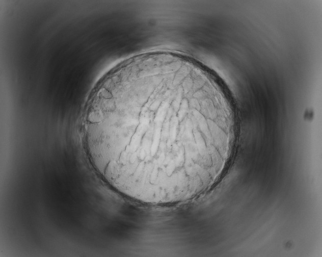 X0000103931316200810311508