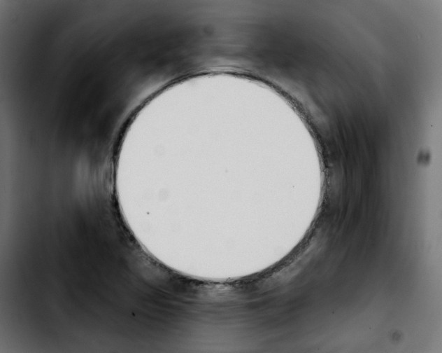 X0000103931317200810311508