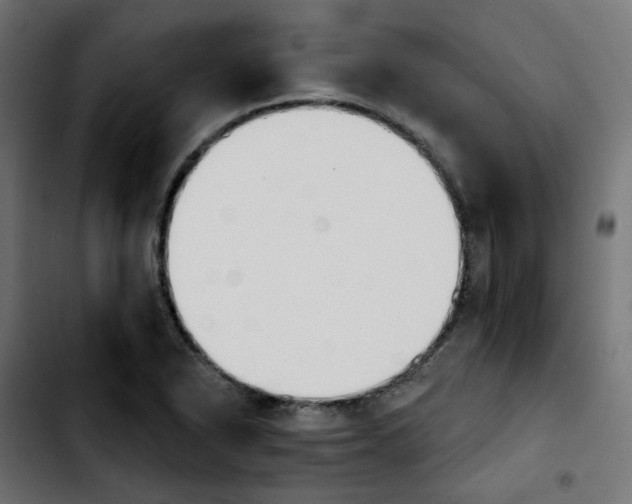 X0000103931318200810311508