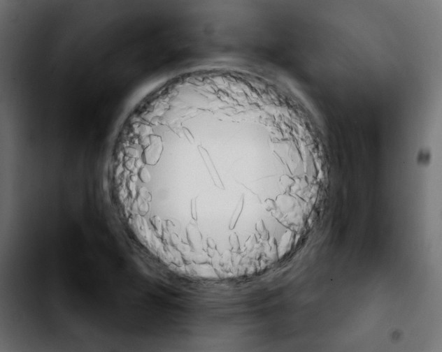 X0000103931320200810311508