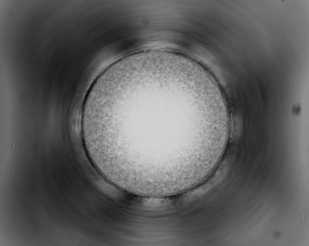 X0000103931322200810311508