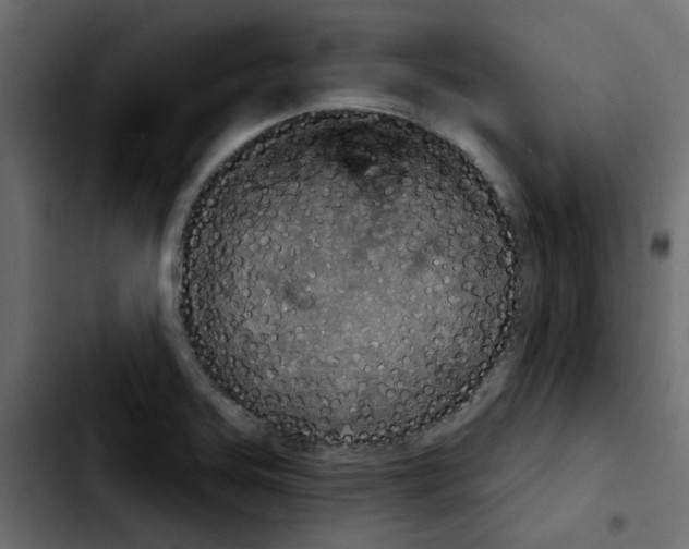 X0000103931323200810311508