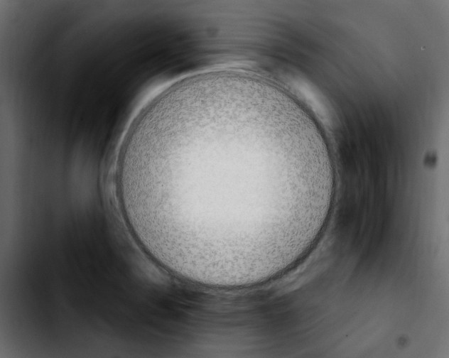 X0000103931324200810311508