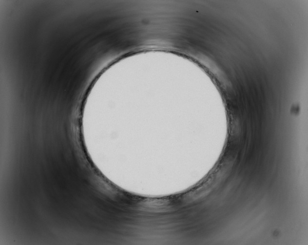 X0000103931325200810311508