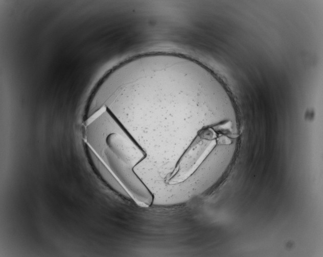 X0000103931326200810311508