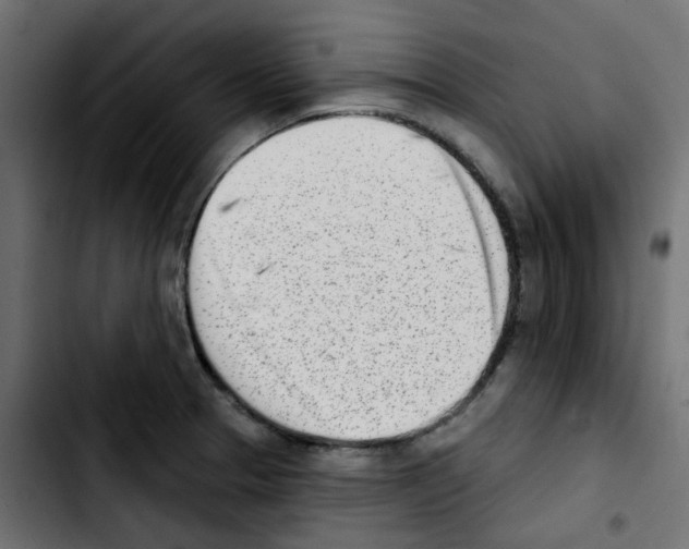 X0000103931329200810311508