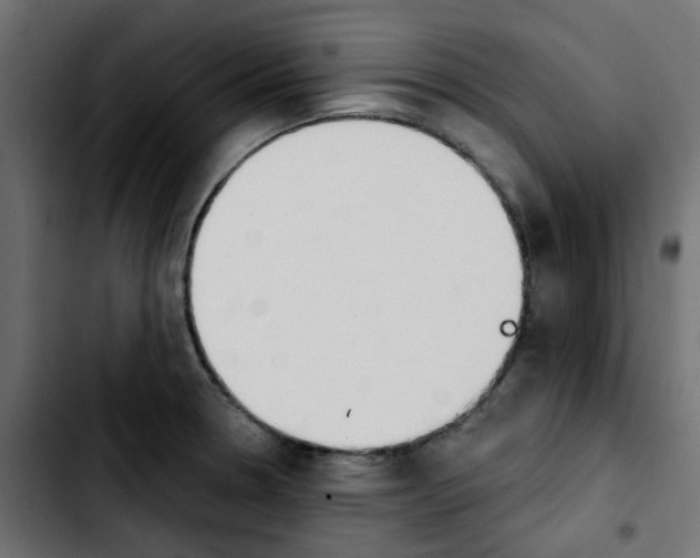 X0000103931330200810311508