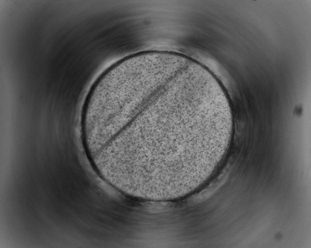 X0000103931331200810311508