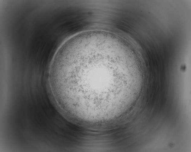 X0000103931332200810311508