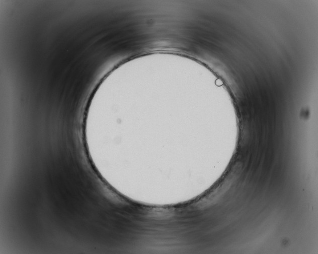 X0000103931333200810311508