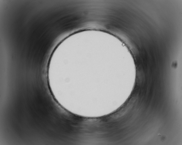 X0000103931335200810311508