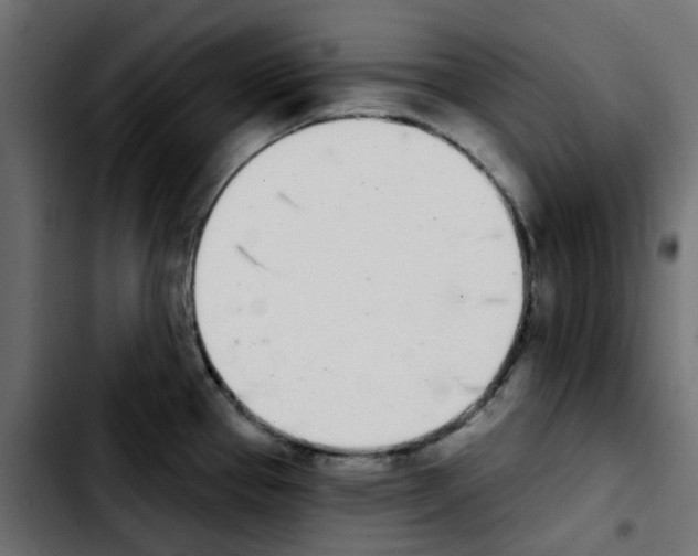 X0000103931337200810311508