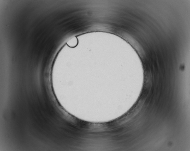 X0000103931339200810311508