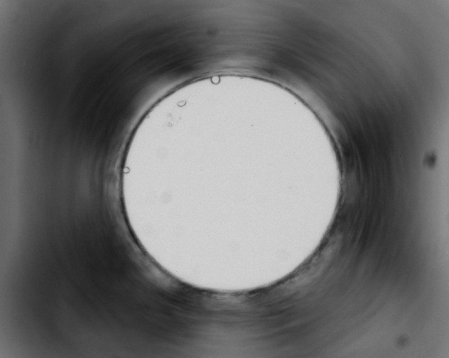 X0000103931341200810311508