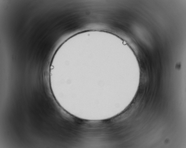 X0000103931343200810311508
