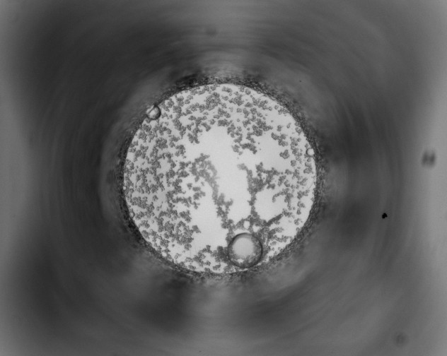 X0000103931345200810311508