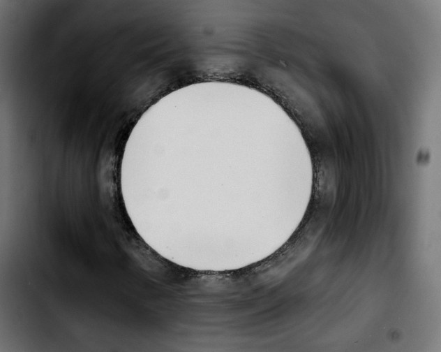 X0000103931346200810311508