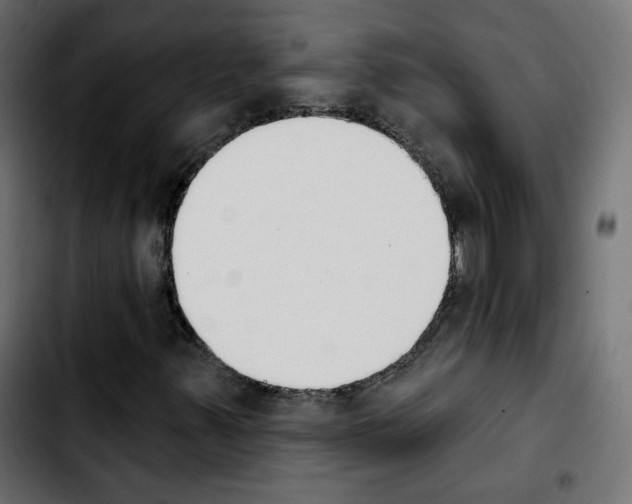 X0000103931347200810311508