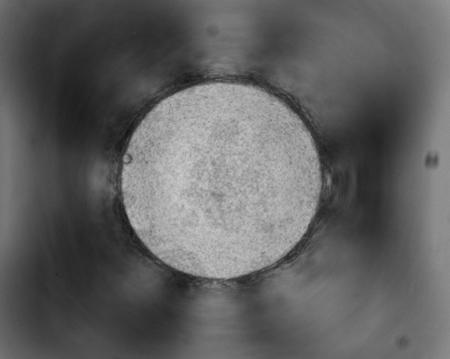 X0000103931348200810311508