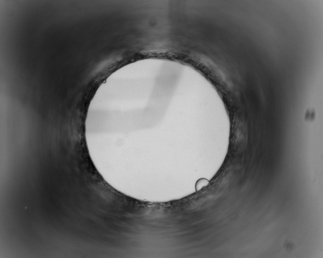 X0000103931350200810311508
