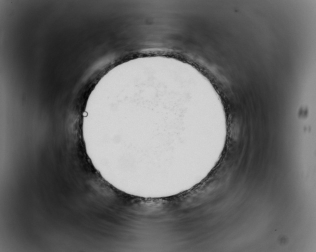 X0000103931351200810311508