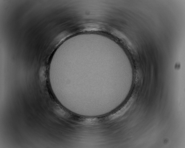 X0000103931353200810311508