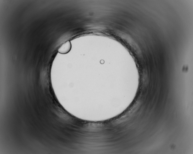 X0000103931354200810311508