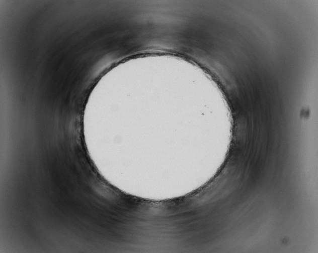 X0000103931355200810311508