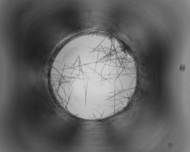 X0000103931356200810311508