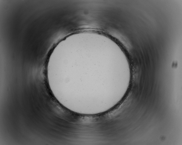 X0000103931357200810311508