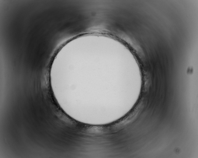X0000103931358200810311508