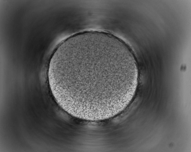 X0000103931359200810311507