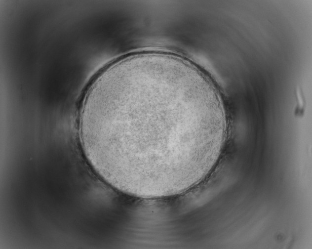 X0000103931360200810311507