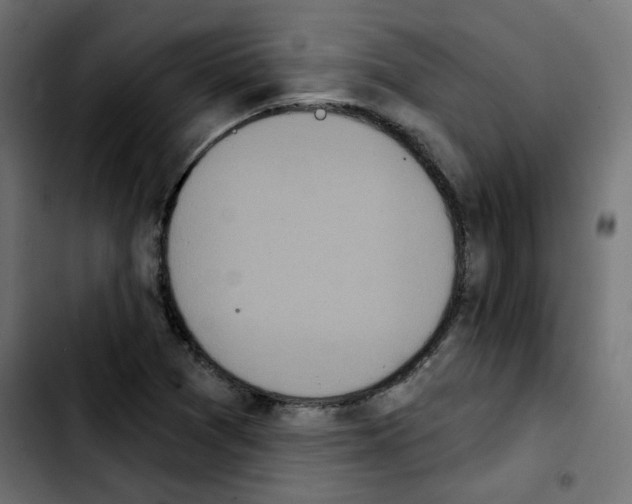 X0000103931361200810311507
