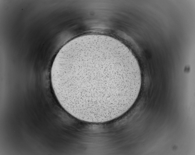 X0000103931362200810311507