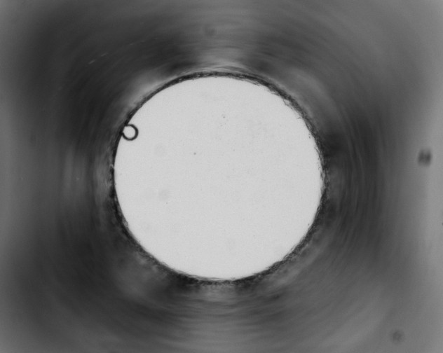X0000103931363200810311507