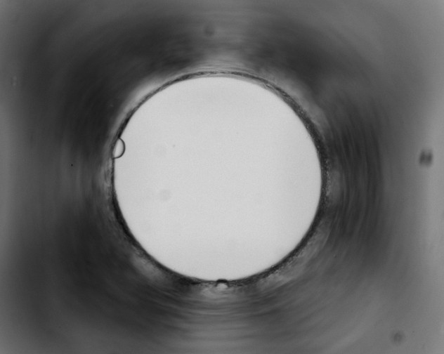 X0000103931366200810311507