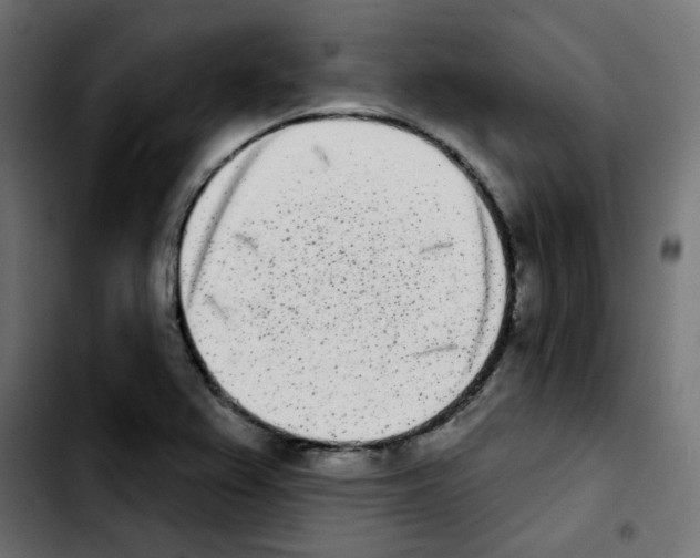 X0000103931367200810311507