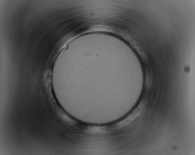 X0000103931369200810311507