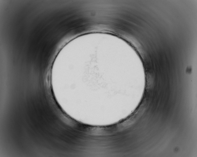 X0000103931371200810311507
