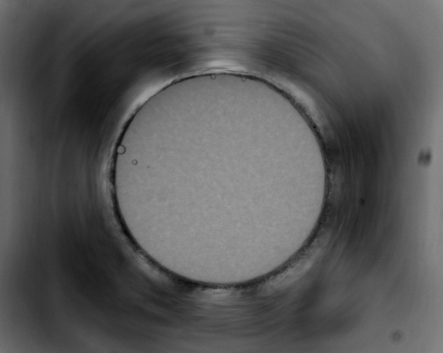 X0000103931373200810311507