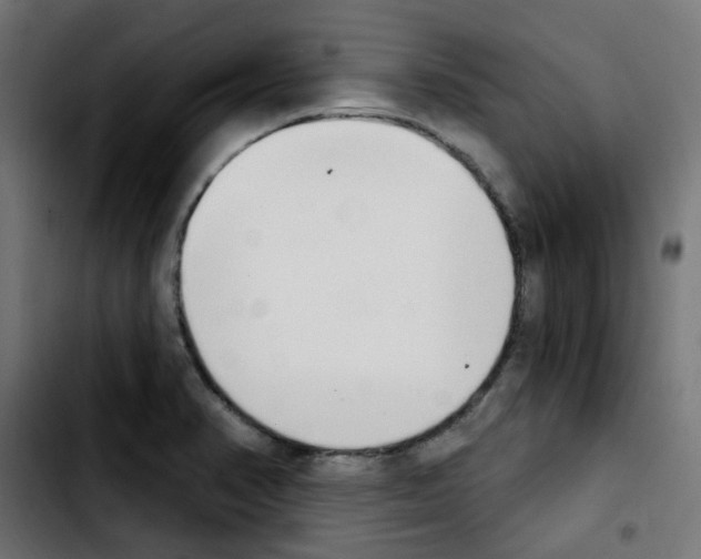 X0000103931374200810311507