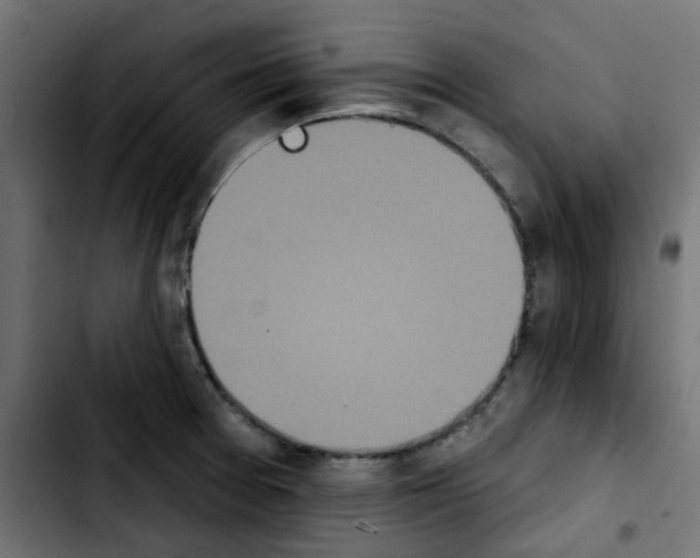 X0000103931377200810311507