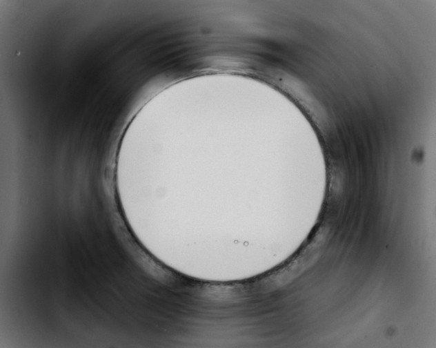 X0000103931378200810311507