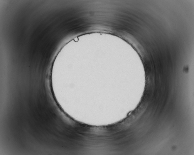 X0000103931379200810311507