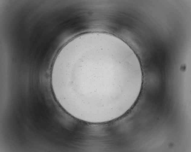 X0000103931380200810311507