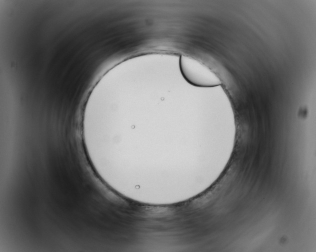 X0000103931382200810311507