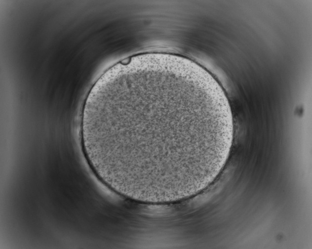 X0000103931383200810311507