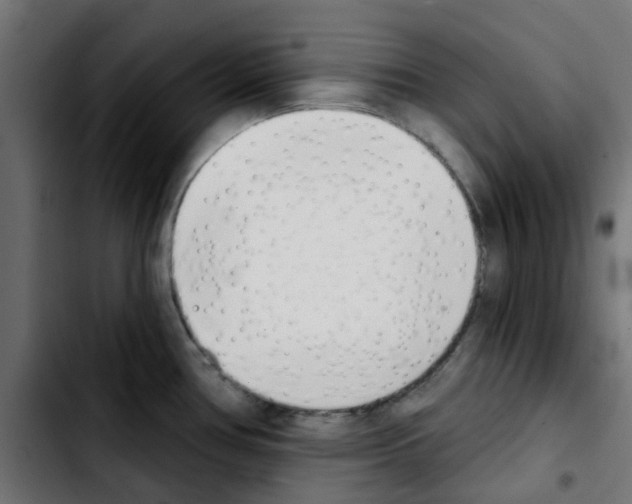 X0000103931386200810311507