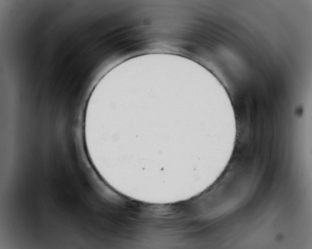 X0000103931387200810311507